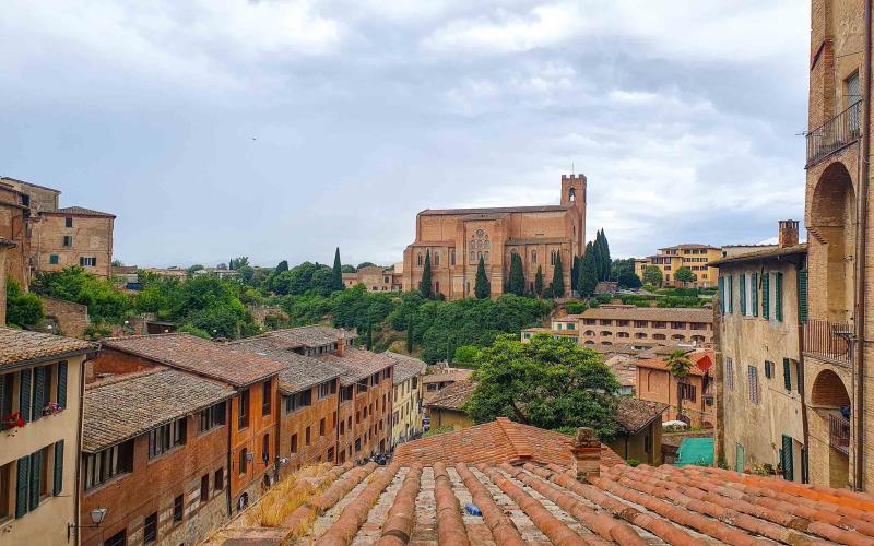 siena's hidden gems a medieval tapestry review